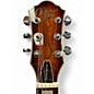 Used Michael Kelly Hybrid Special Spalted Maple Burst Hollow Body Electric Guitar