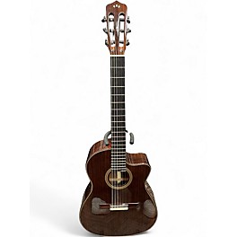 Used Cordoba Fusion 14 Rose Walnut Classical Acoustic Guitar
