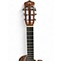 Used Cordoba Fusion 14 Rose Walnut Classical Acoustic Guitar