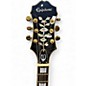 Used Epiphone Sheraton II Black Hollow Body Electric Guitar