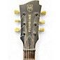 Used Fishbone 2PU BLACK Solid Body Electric Guitar