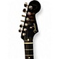 Used Fender Limited Edition Player Stratocaster Ebony black Solid Body Electric Guitar