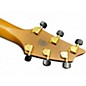 Used Breedlove Oregon Concert CE CINNAMON BURST Acoustic Electric Guitar