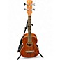 Used Ibanez PNB12E-OPN Open Pore Natural Acoustic Bass Guitar thumbnail