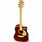 Used Esteban VL-200 Green Acoustic Guitar thumbnail