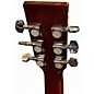 Used Esteban VL-200 Green Acoustic Guitar