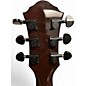 Used Michael Kelly PORT X Brown Acoustic Electric Guitar