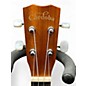 Used Cordoba 15CM Concert Natural Ukulele