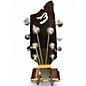 Used Breedlove Passport PLUS C250/SBE Natural Acoustic Electric Guitar