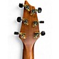Used Breedlove CONGO CONCERT CE Mahogany Acoustic Electric Guitar