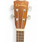 Used Cordoba 20CM Concert Mahogany Ukulele