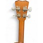 Used Cordoba 20CM Concert Mahogany Ukulele