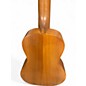 Used Cordoba 20CM Concert Mahogany Ukulele