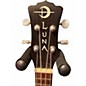 Used Luna Concert Tattoo Mahogany Ukulele