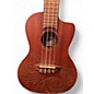 Used Luna Concert Tattoo Mahogany Ukulele