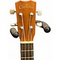 Used Cordoba 20TMCE Tenor Mahogany Ukulele
