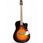 Used LR Baggs AEG-1 Brown Sunburst Acoustic Electric Guitar thumbnail