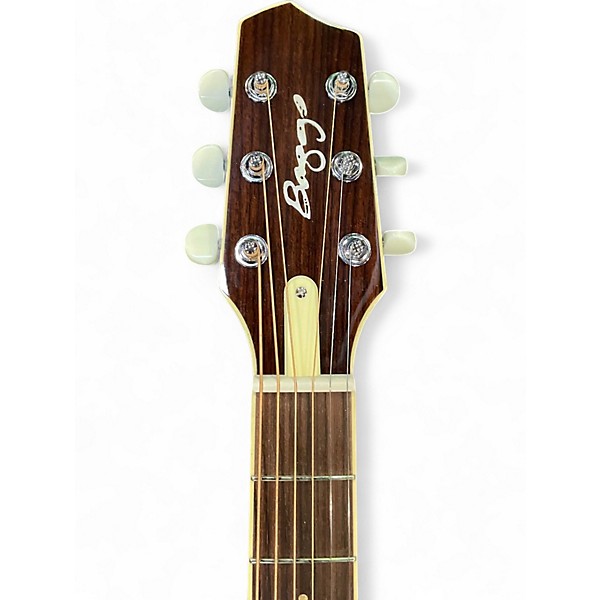 Used LR Baggs AEG-1 Brown Sunburst Acoustic Electric Guitar