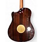 Used LR Baggs AEG-1 Brown Sunburst Acoustic Electric Guitar