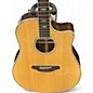 Used Breedlove Stage Dreadnought Natural Acoustic Electric Guitar
