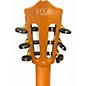 Used Cordoba GK Studio Negra Natural Classical Acoustic Guitar