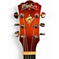 Used Washburn EA15 Ice Tea Burst Acoustic Electric Guitar