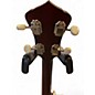 Used Recording King RKO-3S Mahogany Banjo