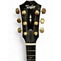 Used Taylor T5Z Custom Koa Shaded Edge Burst Hollow Body Electric Guitar