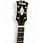 Used D'Angelico EX-SS Tour Wine Red Hollow Body Electric Guitar