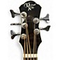Used Michael Kelly MKD5SSBSFR Trans Black Acoustic Bass Guitar