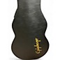 Used Epiphone LES PAUL CASE Electric Guitar Case