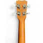 Used Cordoba 20TMCE Tenor Mahogany Ukulele