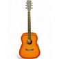 Used Nashville Guitar Works D10EB EDGEBURST Acoustic Guitar thumbnail