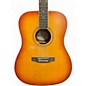 Used Nashville Guitar Works D10EB EDGEBURST Acoustic Guitar