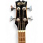 Used Mitchell EZBSB 2 Color Sunburst Acoustic Bass Guitar