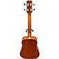 Used Mitchell EZBSB 2 Color Sunburst Acoustic Bass Guitar