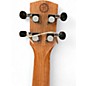 Used Alvarez GDU26C Roses ROSES Ukulele