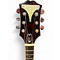 Used Epiphone Wildkat Crimson Red Trans Hollow Body Electric Guitar