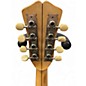 Used Vega Fairbanks Little Wonder Natural Banjo