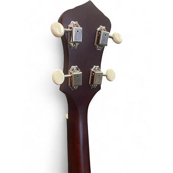 Used Recording King RKOH06 Open Back Natural Banjo