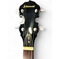 Used Johnson JB100 Brown Banjo