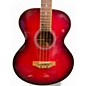 Used Carlo Robelli cb300trbx Trans Red Acoustic Bass Guitar