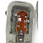 Used Michael Kelly Mod Shop Patriot Instinct Amber Burst Solid Body Electric Guitar