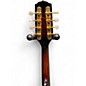 Used Fender FM53S 2 Color Sunburst Mandolin