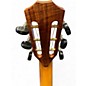 Used Taylor C12CE B6026 SASSAFRAS Acoustic Electric Guitar
