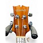 Used Mitchell MU100CE Concert Mahogany Ukulele
