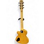 Used Sire Larry Carlton L5 Natural Solid Body Electric Guitar