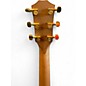 Used Taylor 114CE SUNSET BLVD Sunburst Acoustic Electric Guitar