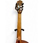 Used Cordoba Fusion 12 Brown Sugar Burst Classical Acoustic Electric Guitar