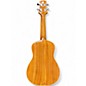 Used Mitchell MU100 Concert Natural Ukulele